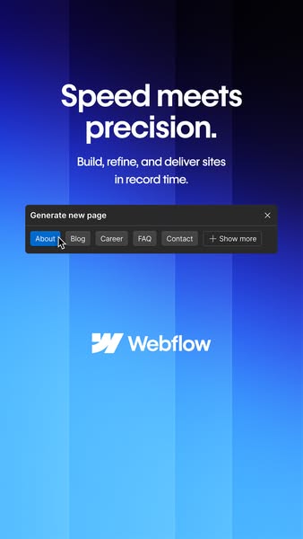 Webflow ad creative